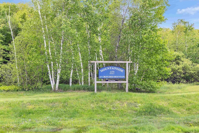 10 Onset Rd Unit 9A, Bennington, NH 03442 - surrounding community with a forest view