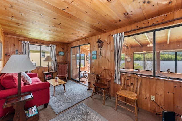 50 Browns Beach Rd, Bristol, NH 03222 - living area featuring wooden ceiling and wooden walls