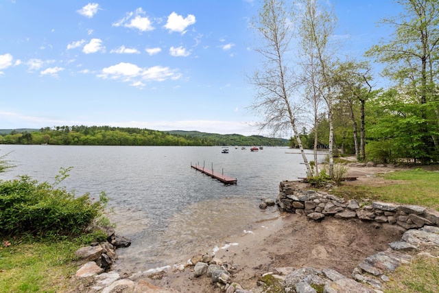 50 Browns Beach Rd, Bristol, NH 03222 - dock with a water view and a wooded view