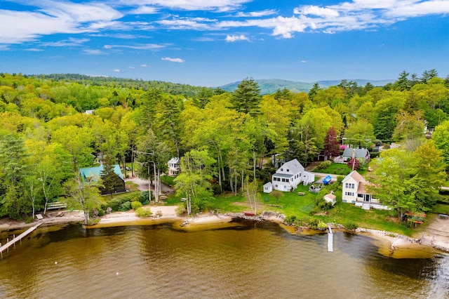 50 Browns Beach Rd, Bristol, NH 03222 - view of subject property with a forest and a nearby body of water