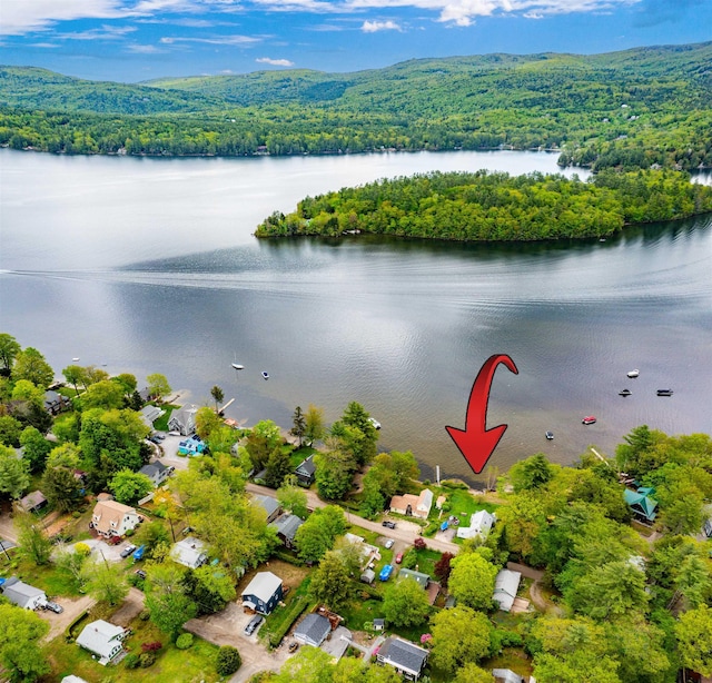 50 Browns Beach Rd, Bristol, NH 03222 - aerial view of a heavily wooded area and a nearby body of water
