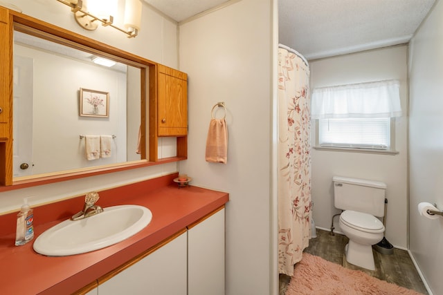 26 Birch Hill Estates Rd, Wolfeboro, NH 03894 - full bathroom with toilet, vanity, wood finished floors, and a shower with curtain