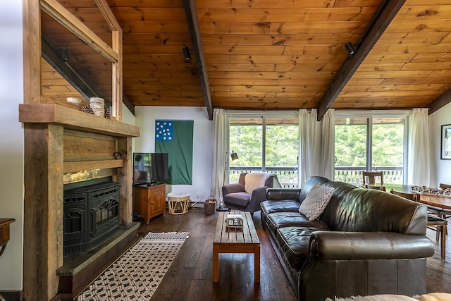 46 Murray Hill Heights Rd Unit 17, Manchester, VT 05255 - living room featuring a wood stove, wood ceiling, dark wood-style flooring, and healthy amount of natural light