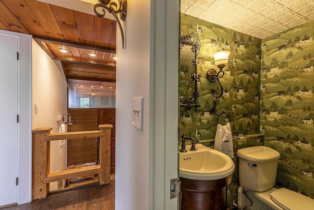 46 Murray Hill Heights Rd Unit 17, Manchester, VT 05255 - bathroom featuring wood finished floors and toilet