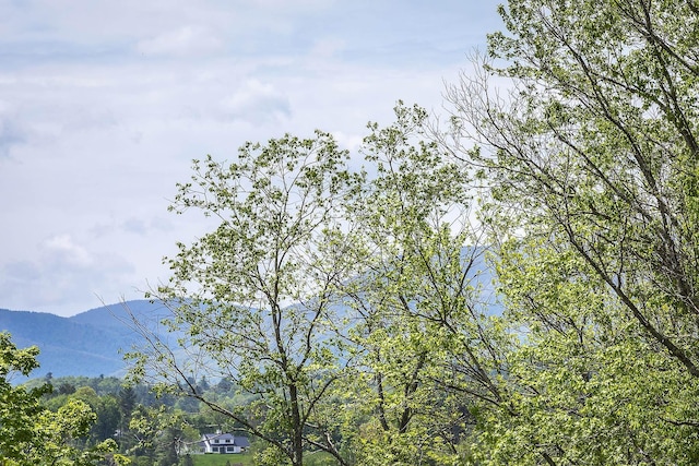 46 Murray Hill Heights Rd Unit 17, Manchester, VT 05255 - view of mountain backdrop