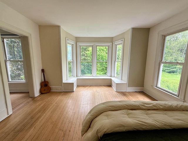 927 Water St, Bennington, VT 05257 - bedroom with light wood-style floors, multiple windows, and baseboards