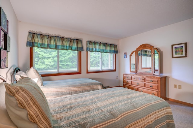 22 Northbrook Cir Unit 12, Conway, NH 03860 - bedroom with baseboards and carpet flooring