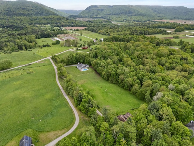 55 Honey Hill Rd, Hinesburg, VT 05461 - overview of rural landscape with a mountain backdrop