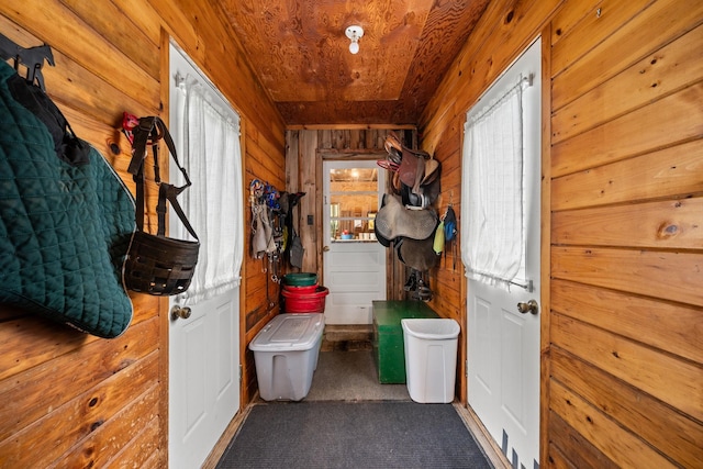 55 Honey Hill Rd, Hinesburg, VT 05461 - doorway featuring wood walls and carpet