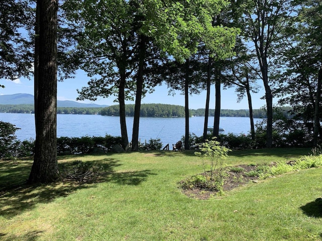 87 Chase Point Rd, Tuftonboro, NH 03853 - water view