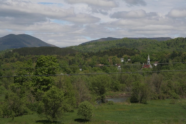 1083 Back Center Rd, Lyndon, VT 05851 - view of mountain background with a heavily wooded area