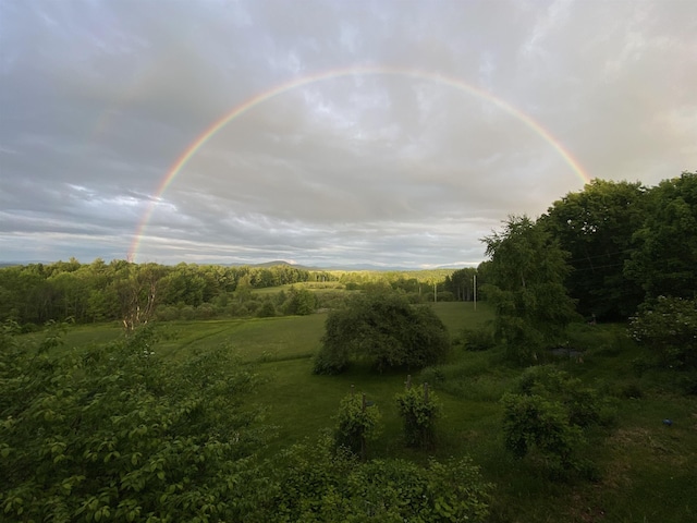 304 Green Bay Loop, Peacham, VT 05862 - view of nature
