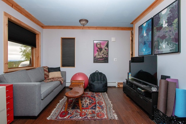 304 Green Bay Loop, Peacham, VT 05862 - living room with dark wood-type flooring and a baseboard radiator