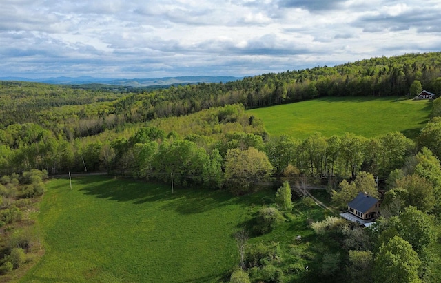 304 Green Bay Loop, Peacham, VT 05862 - overview of rural landscape with a forest
