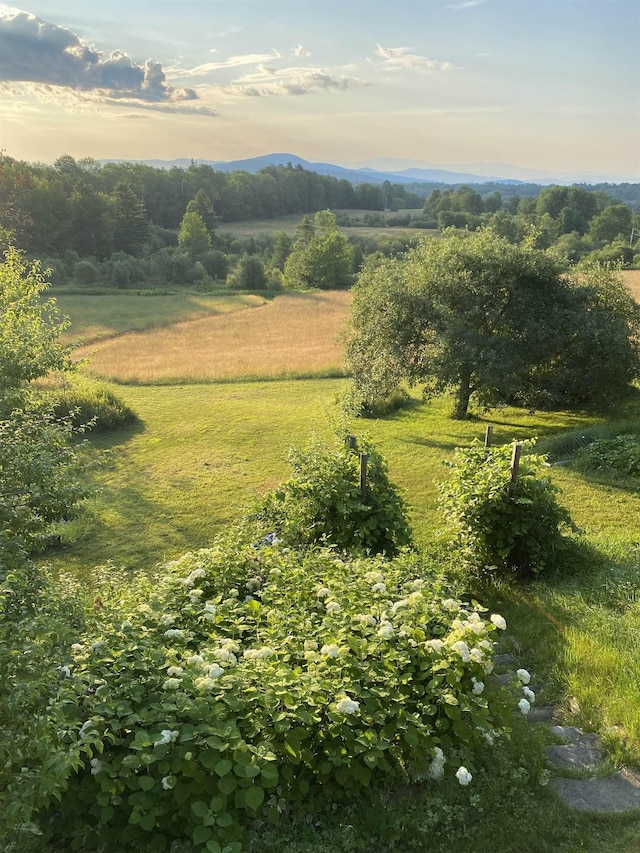 304 Green Bay Loop, Peacham, VT 05862 - view of yard with a view of rural / pastoral area