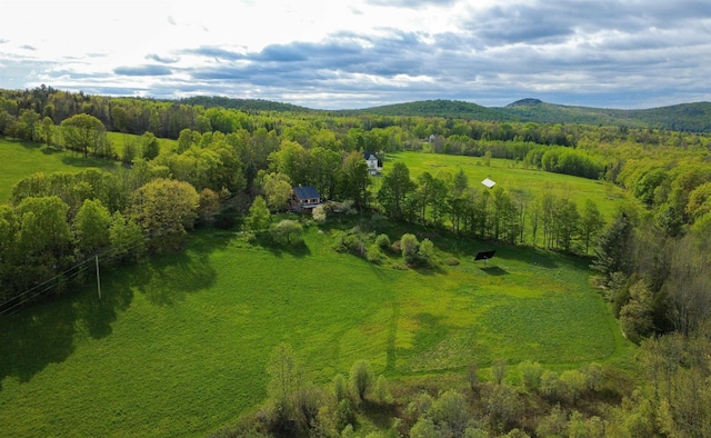 304 Green Bay Loop, Peacham, VT 05862 - overview of rural landscape with a forest and mountains