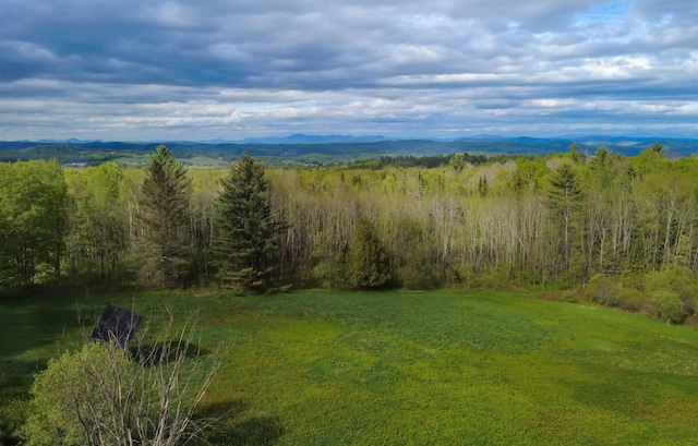 304 Green Bay Loop, Peacham, VT 05862 - view of yard