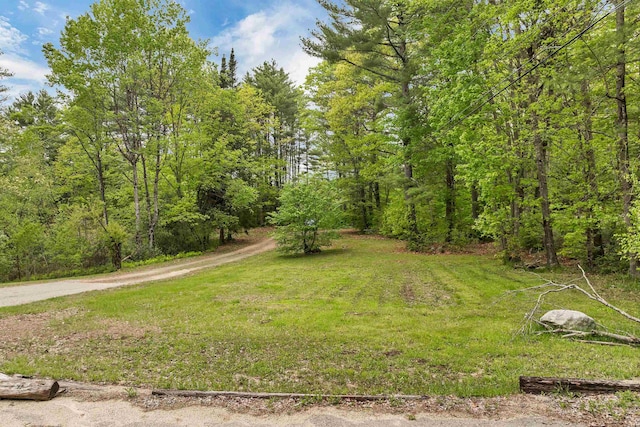 124 Hanson Rd, Ossipee, NH 03864 - view of yard