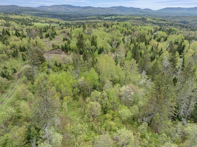 LOT7 Holden Hill Rd, Stewartstown, NH 03576