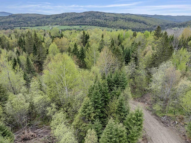 LOT7 Holden Hill Rd, Stewartstown, NH 03576