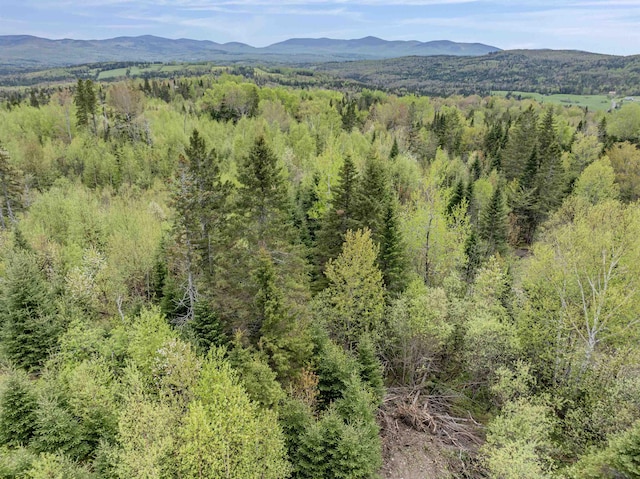 LOT7 Holden Hill Rd, Stewartstown, NH 03576
