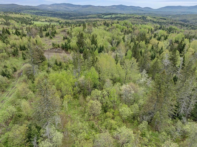 LOT7 Holden Hill Rd, Stewartstown, NH 03576