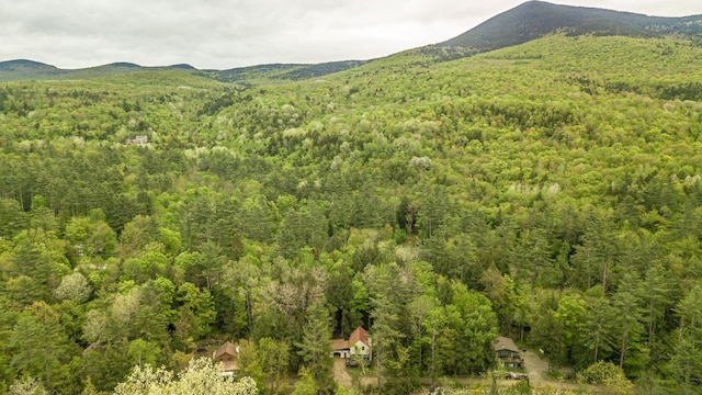 22 Waterfront Rd, Bartlett, NH 03812