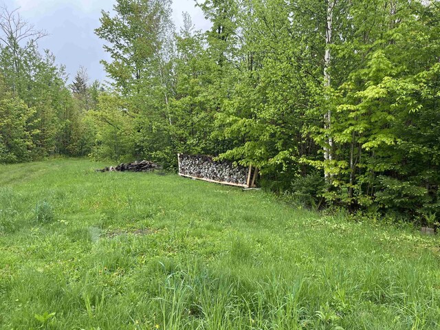 3010 Buck Hill Rd, Westfield, VT 05874 - view of yard