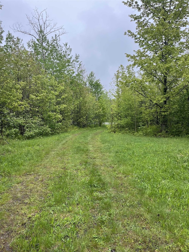 3010 Buck Hill Rd, Westfield, VT 05874 - view of yard featuring a view of trees