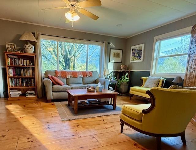 261 Vt 15 E Rd, Hyde Park, VT 05655 - living area featuring crown molding, light wood-style floors, and a ceiling fan