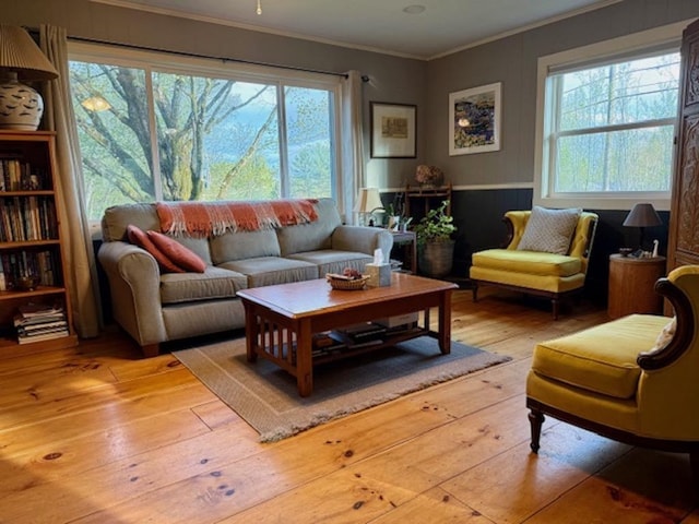 261 Vt 15 E Rd, Hyde Park, VT 05655 - living room featuring hardwood / wood-style floors, crown molding, and healthy amount of natural light