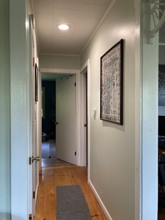 261 Vt 15 E Rd, Hyde Park, VT 05655 - hallway featuring light wood-type flooring and ornamental molding