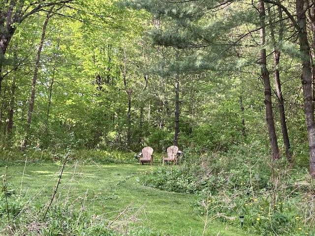 261 Vt 15 E Rd, Hyde Park, VT 05655 - view of wooded area
