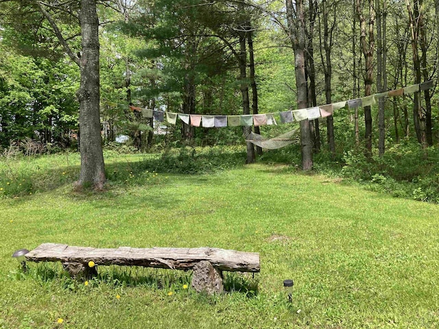 261 Vt 15 E Rd, Hyde Park, VT 05655 - view of green lawn featuring a view of trees