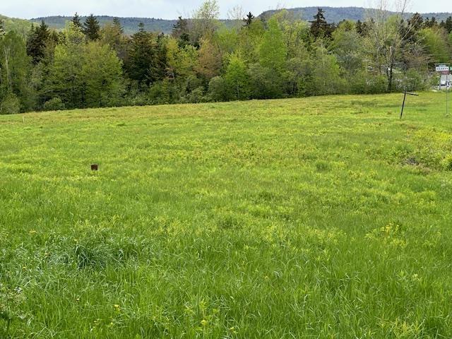 309 Vt Route 100, Dover, VT 05356