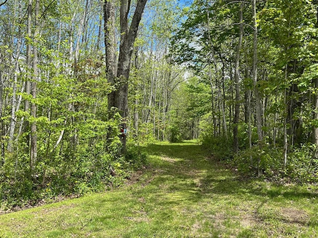 959 Presidential Hwy, Jefferson, NH 03583 - view of wooded area