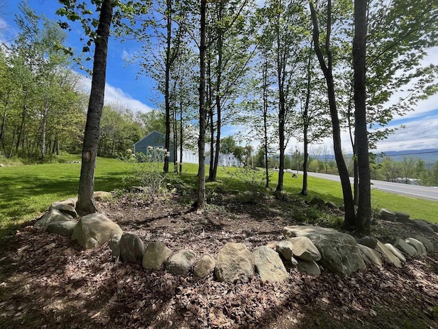 959 Presidential Hwy, Jefferson, NH 03583 - view of grassy yard
