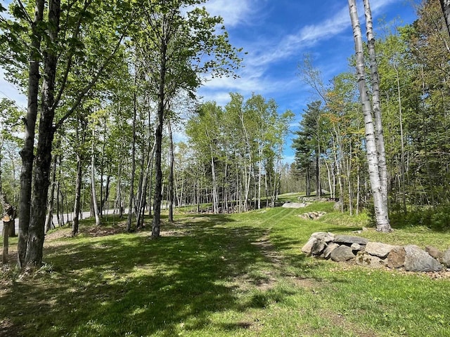 959 Presidential Hwy, Jefferson, NH 03583 - view of grassy yard