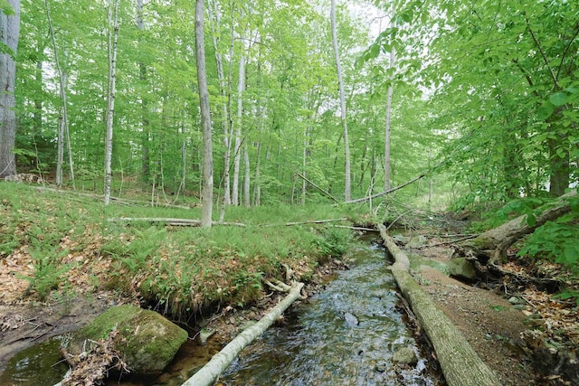 26 Neal Shore Rd, Meredith, NH 03253 - view of undeveloped land