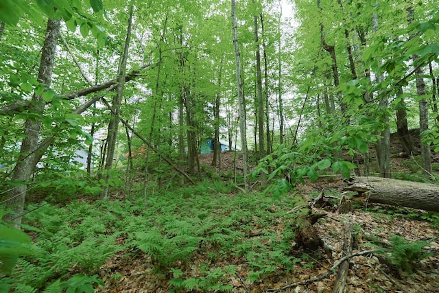 26 Neal Shore Rd, Meredith, NH 03253 - view of undeveloped land