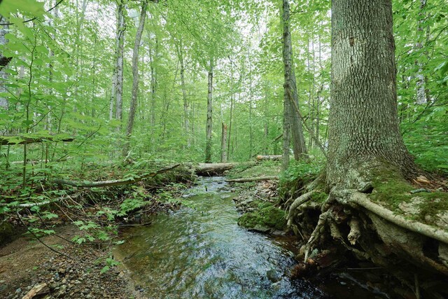 26 Neal Shore Rd, Meredith, NH 03253 - view of undeveloped land
