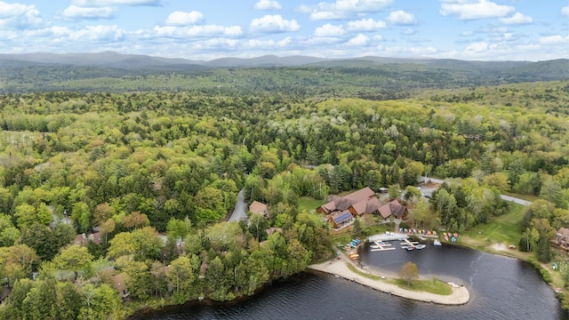 21 Pleasant Dr, Grantham, NH 03753 - view of property location with a heavily wooded area and a water and mountain view