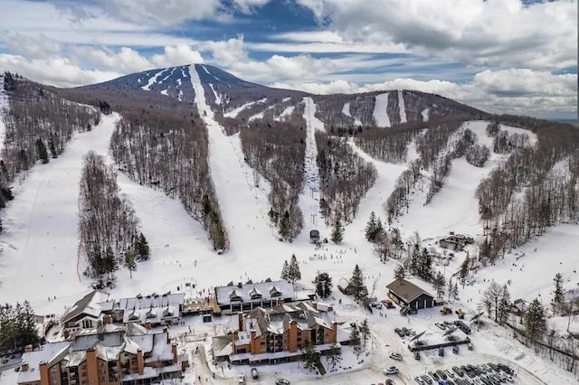 73 Alpine Dr Unit C211, Killington, VT 05751 - view of mountain background