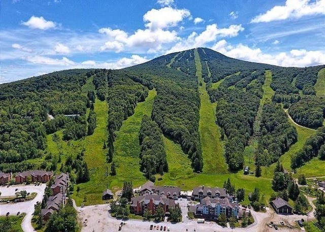 73 Alpine Dr Unit C211, Killington, VT 05751 - mountain view featuring a forest