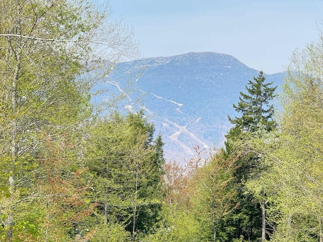 2366 Mountain Rd Unit 3, Stowe, VT 05672 - view of mountain backdrop