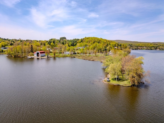 57 Farrants Pt, Newport City, VT 05855 - water view with a heavily wooded area