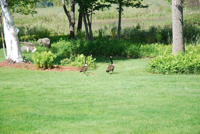 57 Farrants Pt, Newport City, VT 05855 - view of grassy yard