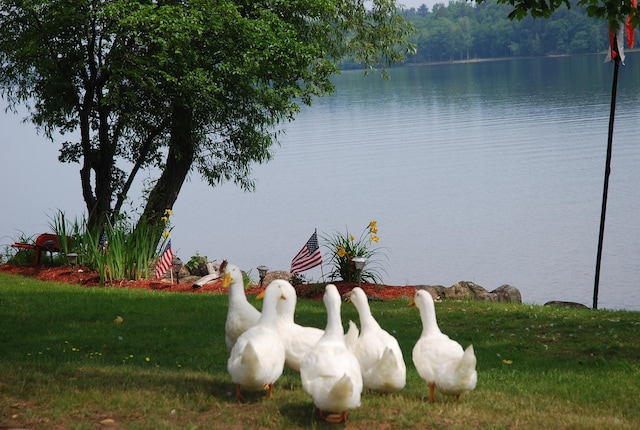 57 Farrants Pt, Newport City, VT 05855 - water view