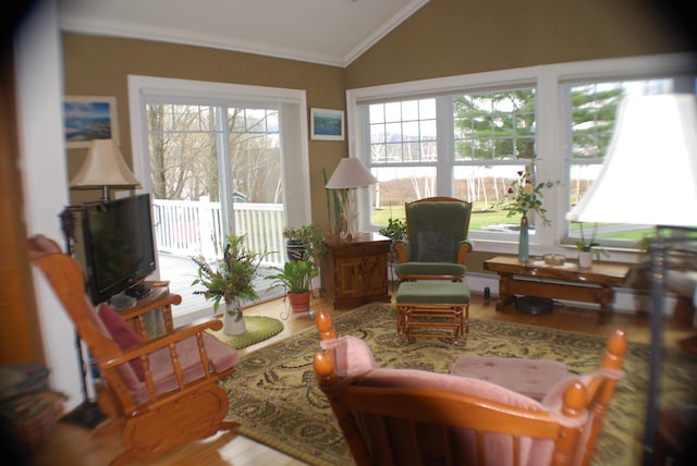 57 Farrants Pt, Newport City, VT 05855 - sitting room with lofted ceiling, wood finished floors, ornamental molding, and a baseboard radiator