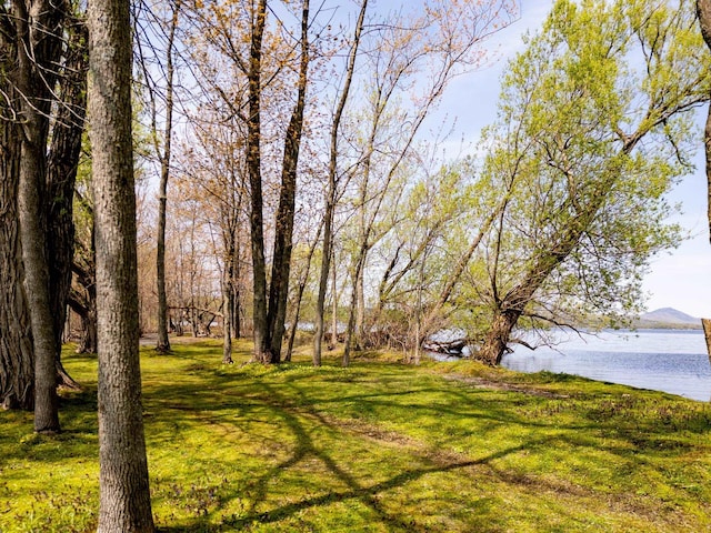 57 Farrants Pt, Newport City, VT 05855 - view of green lawn featuring a water view
